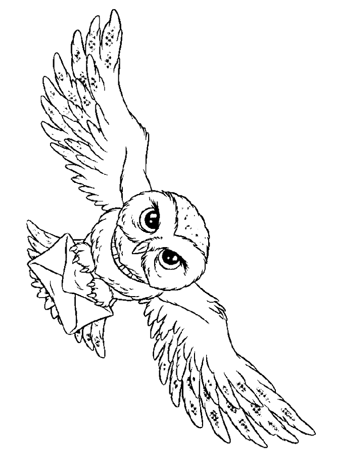 Harry Potter Coloring Picture of a flying owl with a letter containing