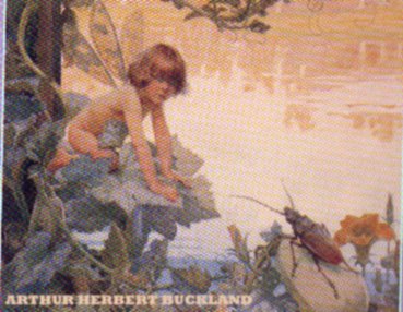  Arthur Herbert Buckland fairy art, faery graphics, faerie painting, fairie images,fae paintings, elf images, and beautiful 
pictures of victorian fairies, also called fairies, fairys, fairyes, faeries, faerys, faeryes, faries, 
farys, by doyle, fitzgerald, delville, duncan, charles robinson and arthur rackham